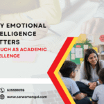 Why Emotional Intelligence Matters as Much as Academic Excellence